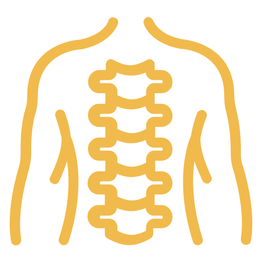 Head & Spinal Cord Injuries